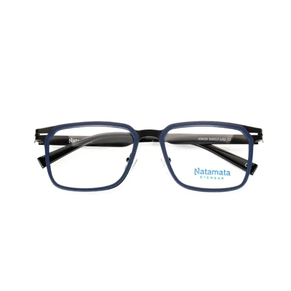 Delonix Frame - Image 2