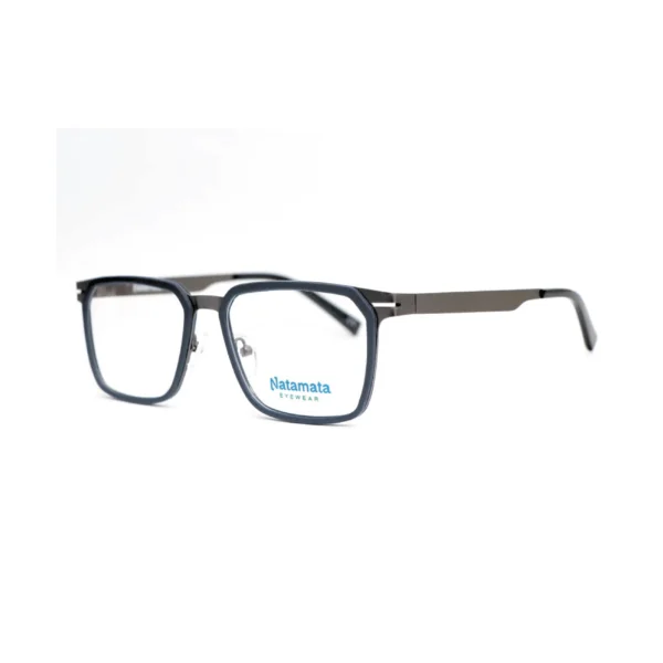 Delonix Frame - Image 3