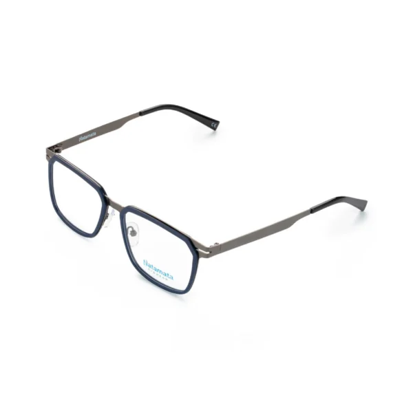 Delonix Frame