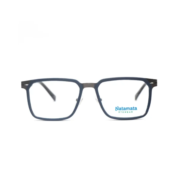 Delonix Frame - Image 4