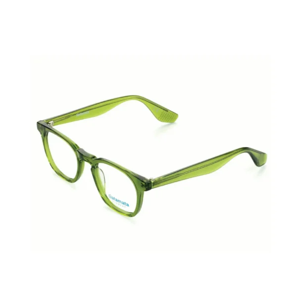 Ixora frame