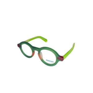Hibiscus Frame