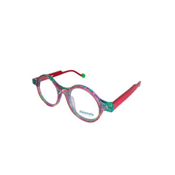 Erinus Frame - Image 2
